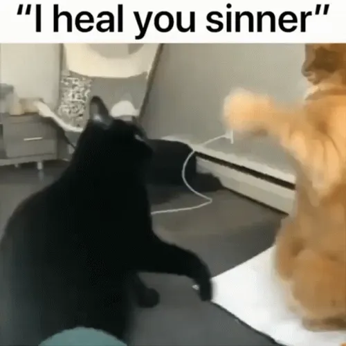 i-heal-you-sinner-cats-funny-meme-wwnpx902zjykgty3.webp