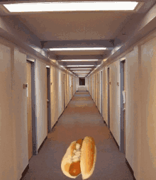 hot-dog-zooming-by.gif