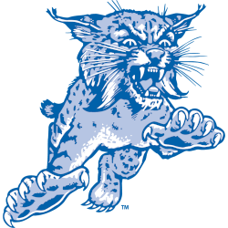 kentucky_wildcats_1973-1986.png