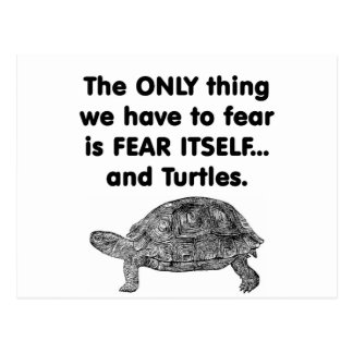 fear_itself_turtles_postcard-r739e4948d8b2455f8cd6d22428fb8b37_vgbaq_8byvr_324.jpg