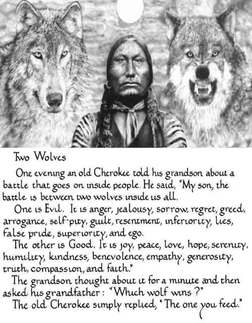 Two-Wolves-Poem.jpg