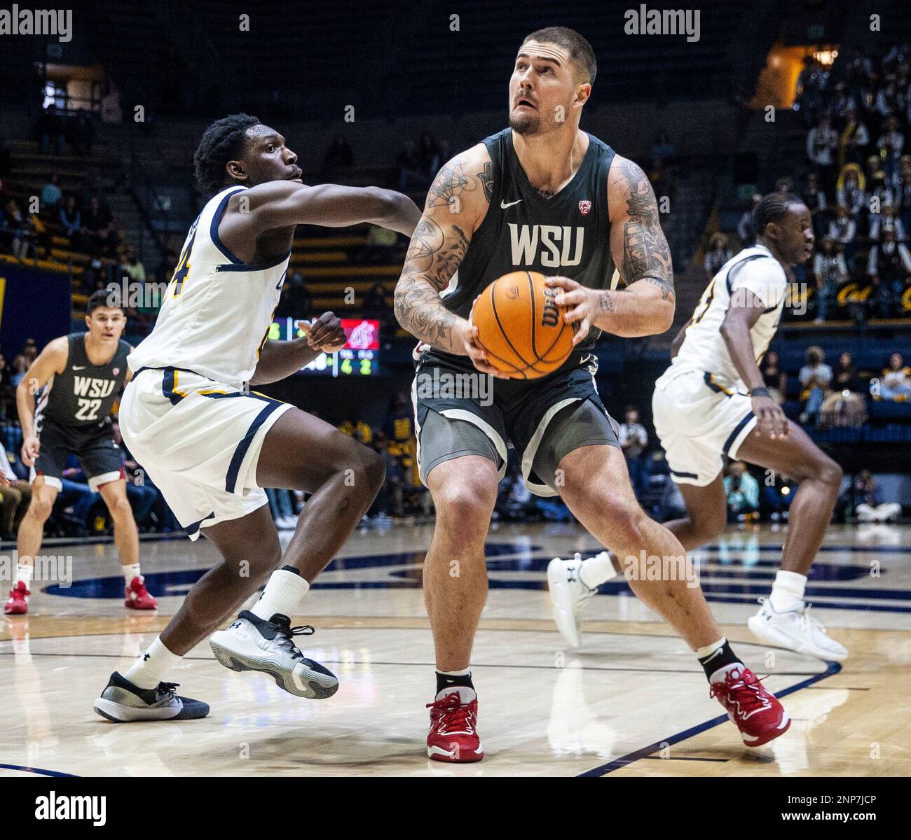 berkeley-ca-us-25th-feb-2023-a-washington-state-center-jack-wilson-21fights-for-position-in-the-paint-during-ncaa-mens-basketball-game-between-washington-state-cougars-and-the-california-golden-bears-washington-state-beat-california-63-57-at-haas-pavilion-berkeley-calif-thurman-jamescsmalamy-live-news-2NP7JCP.jpg