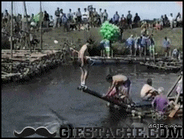 giphy.gif