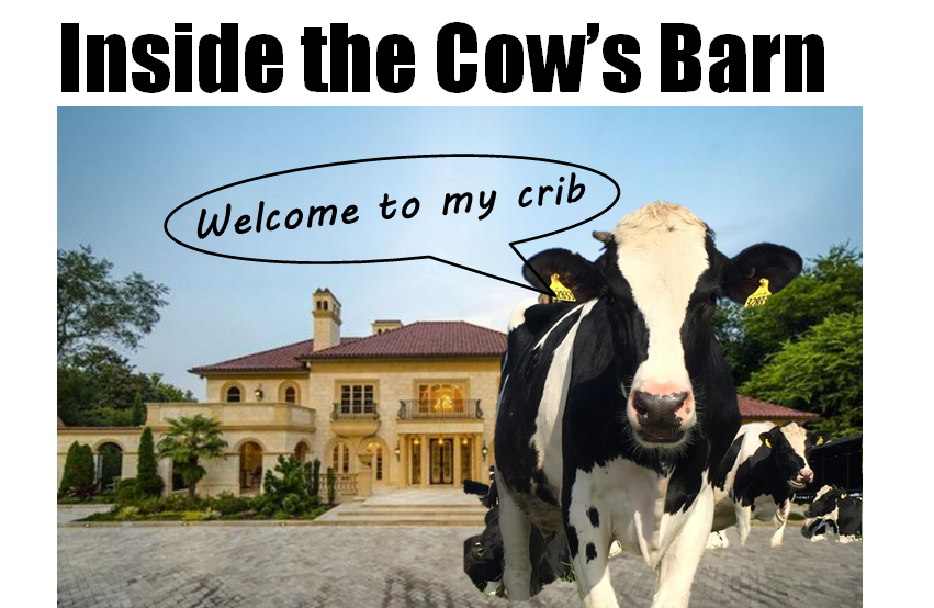 Modern-dairy-cow-barn.png