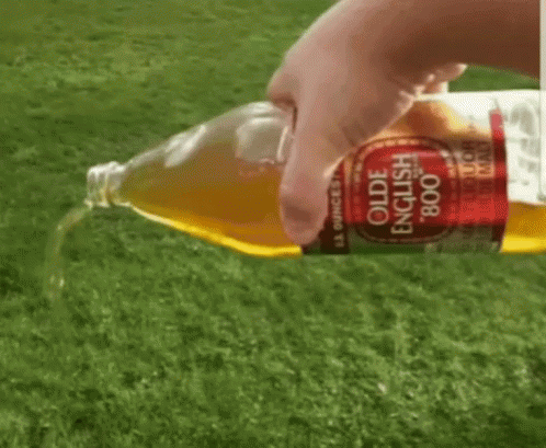beer-pour.gif