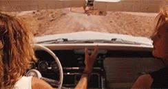 thelma-and-louise-vintage.gif