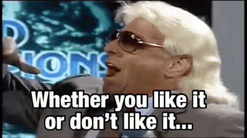 ric-flair-learn-to-love-it.gif