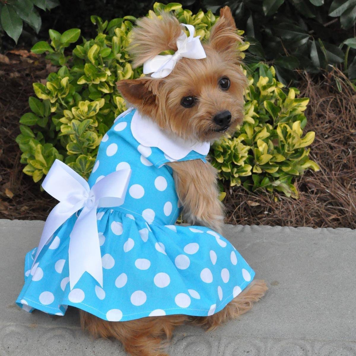 apparel-blue-polka-dot-dog-dress-with-matching-leash-1_2048x.jpg