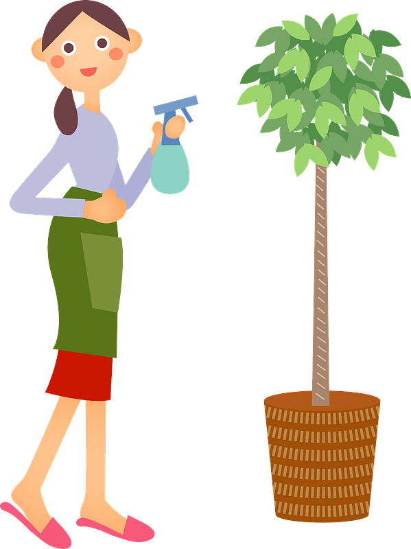 woman-house-plant-clipart-md.png