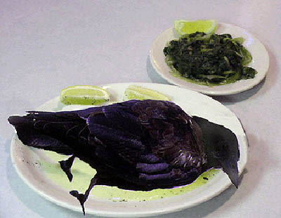Crow-plate.jpg