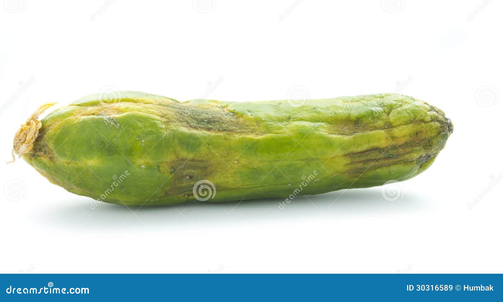 single-rotten-wilted-cucumber-isolated-white-30316589.jpg
